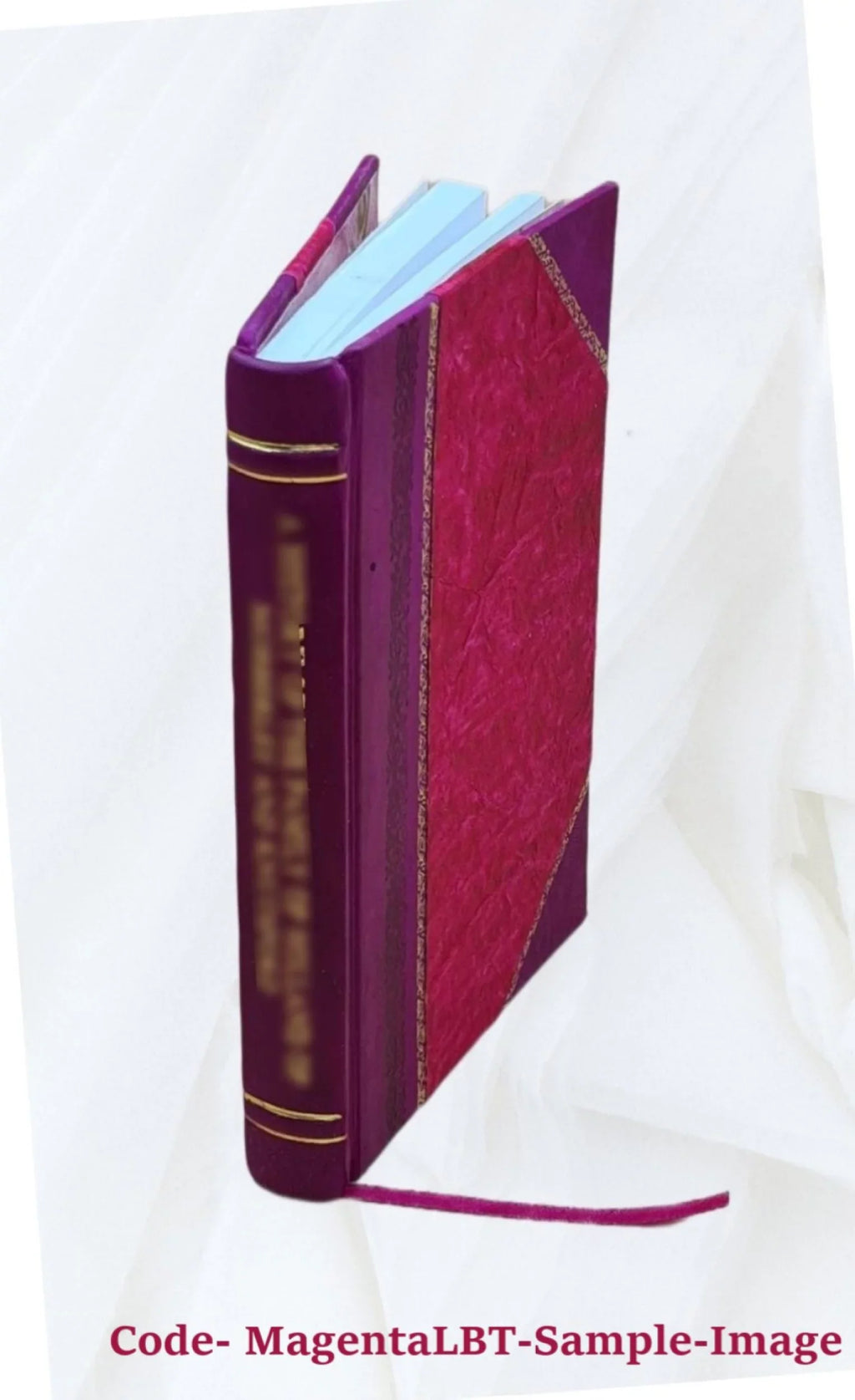 1) 1921 [Leather Bound]. VI, no. Orion Volume November, 1921 (vol