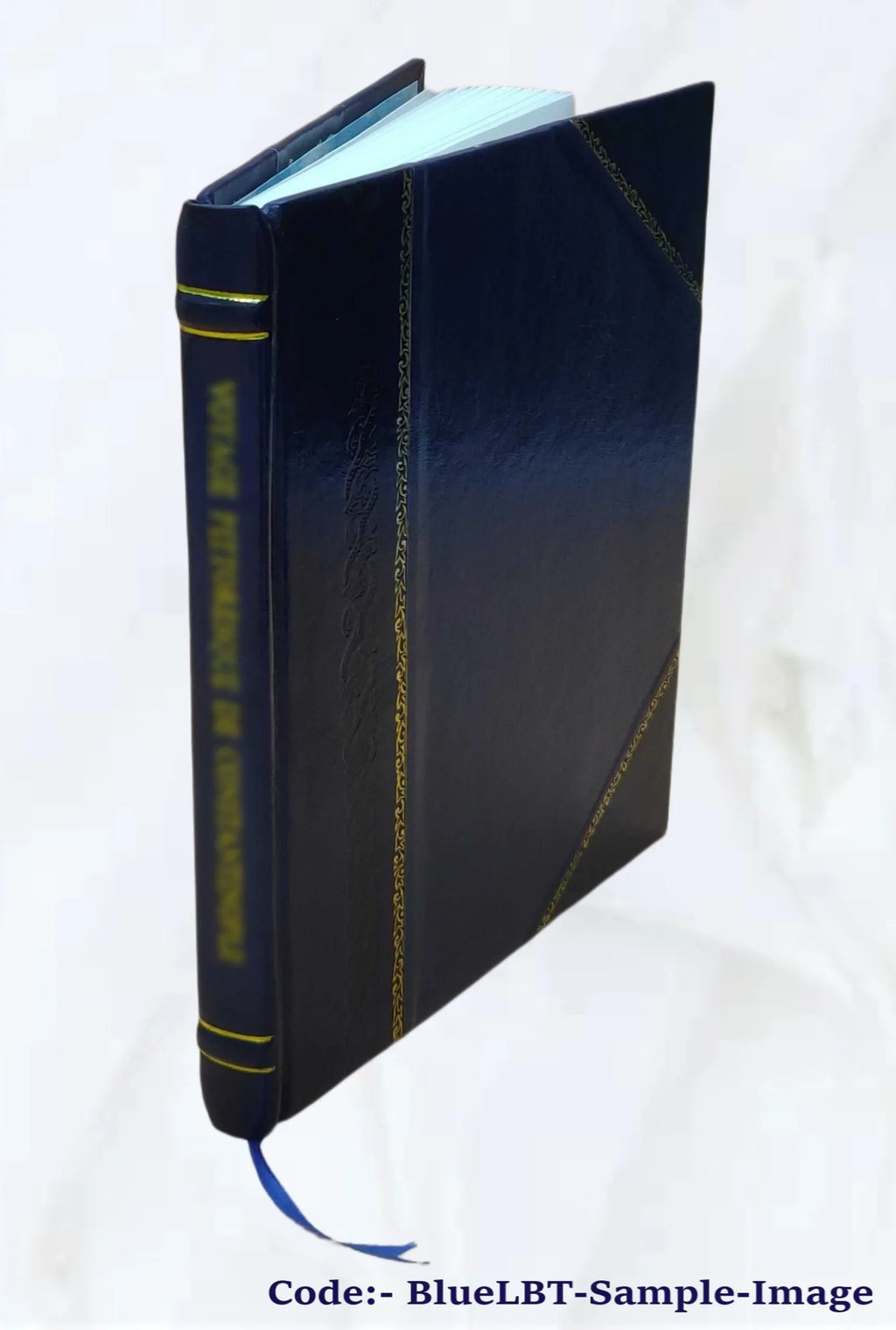 Felix Haase 1920 [Leather Bound]. Übersetzt und untersucht von Dr. Die koptischen Quellen zum Konzil von Nicäa
